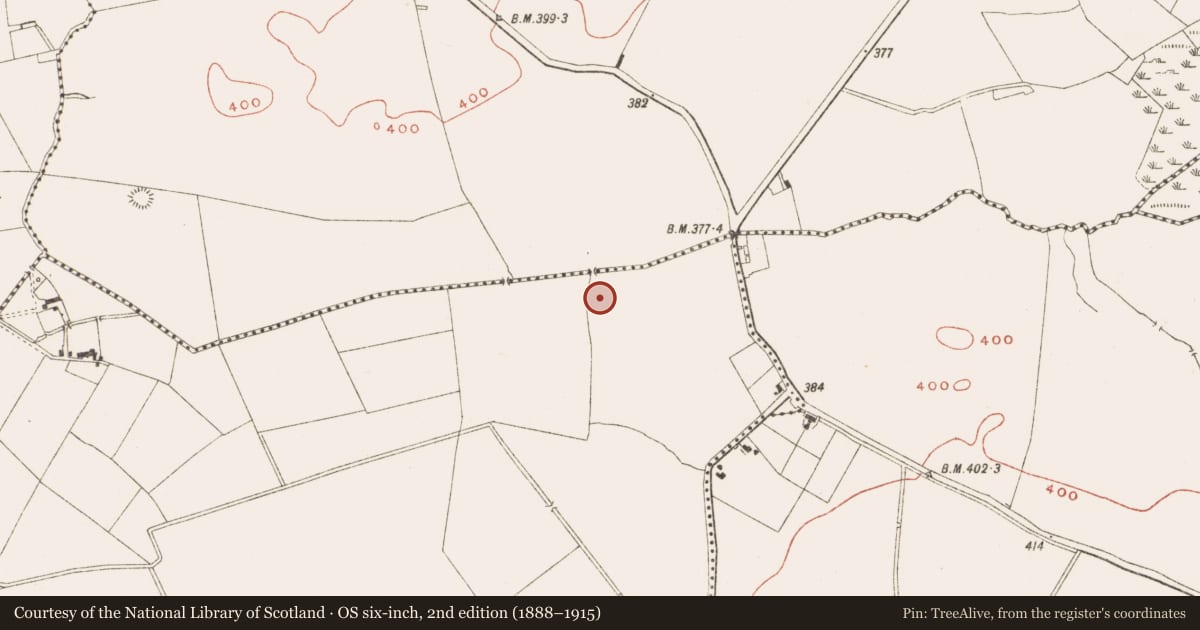 Ordnance Survey six-inch map, 2nd edition (1888–1915) covering the location of Fulacht fia, Drumsawry Or Summerbank, County Meath, with a pin at the register's coordinates