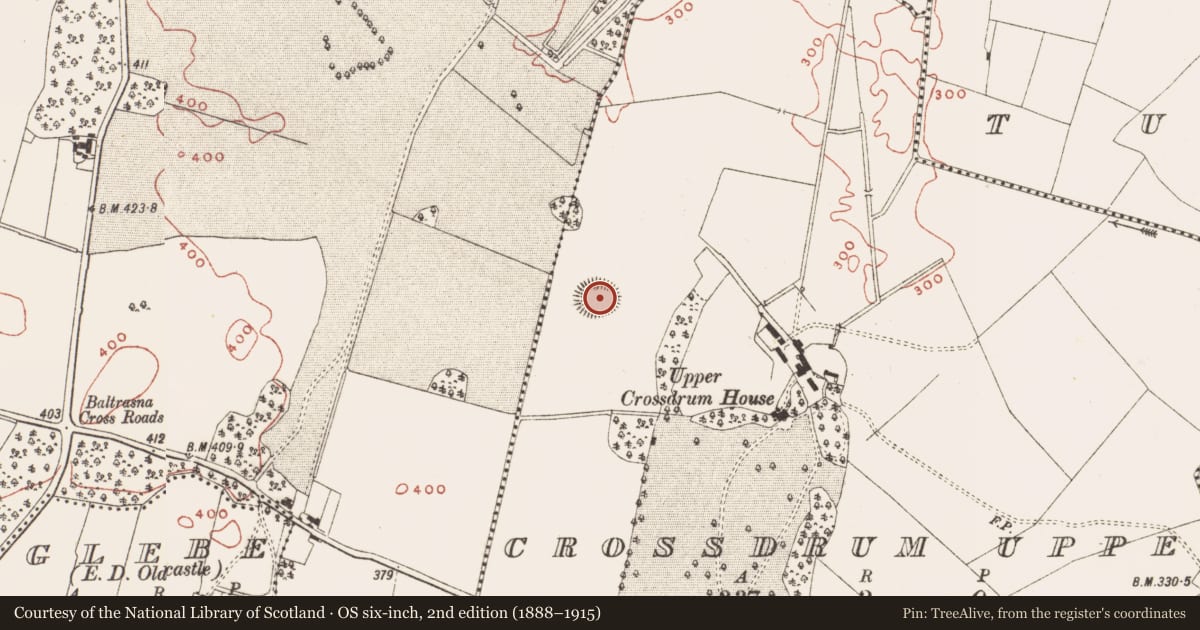 Ordnance Survey six-inch map, 2nd edition (1888–1915) covering the location of Ringfort - rath, Crossdrum Upper, County Meath, with a pin at the register's coordinates