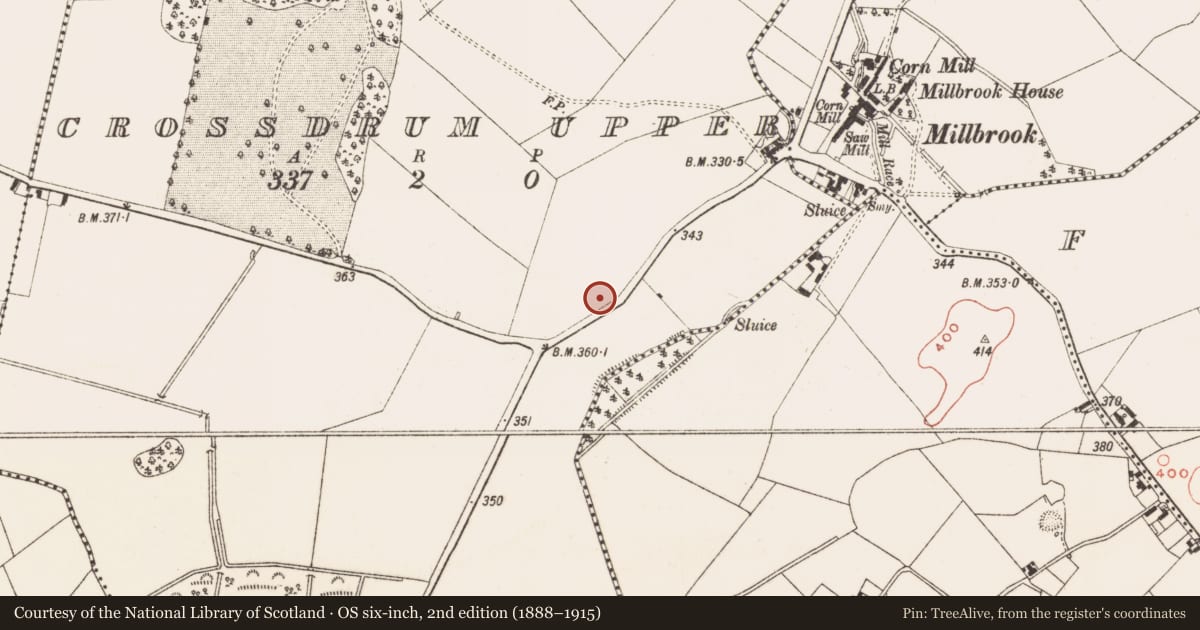 Ordnance Survey six-inch map, 2nd edition (1888–1915) covering the location of Ringfort - rath, Crossdrum Upper, County Meath, with a pin at the register's coordinates