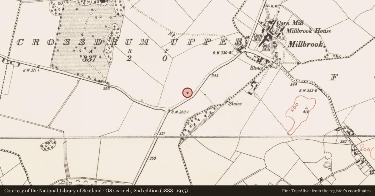 Ordnance Survey six-inch map, 2nd edition (1888–1915) covering the location of Souterrain, Crossdrum Upper, County Meath, with a pin at the register's coordinates