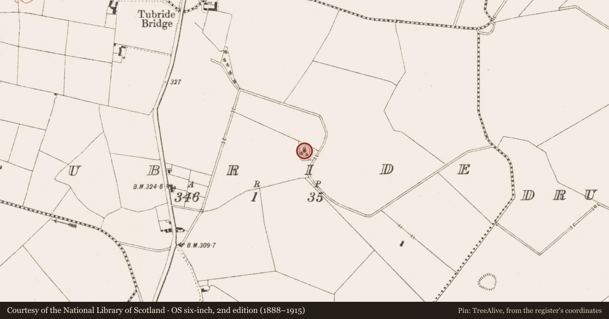 Ordnance Survey six-inch map, 2nd edition (1888–1915) covering the location of Ringfort - rath, Tubride, County Meath, with a pin at the register's coordinates