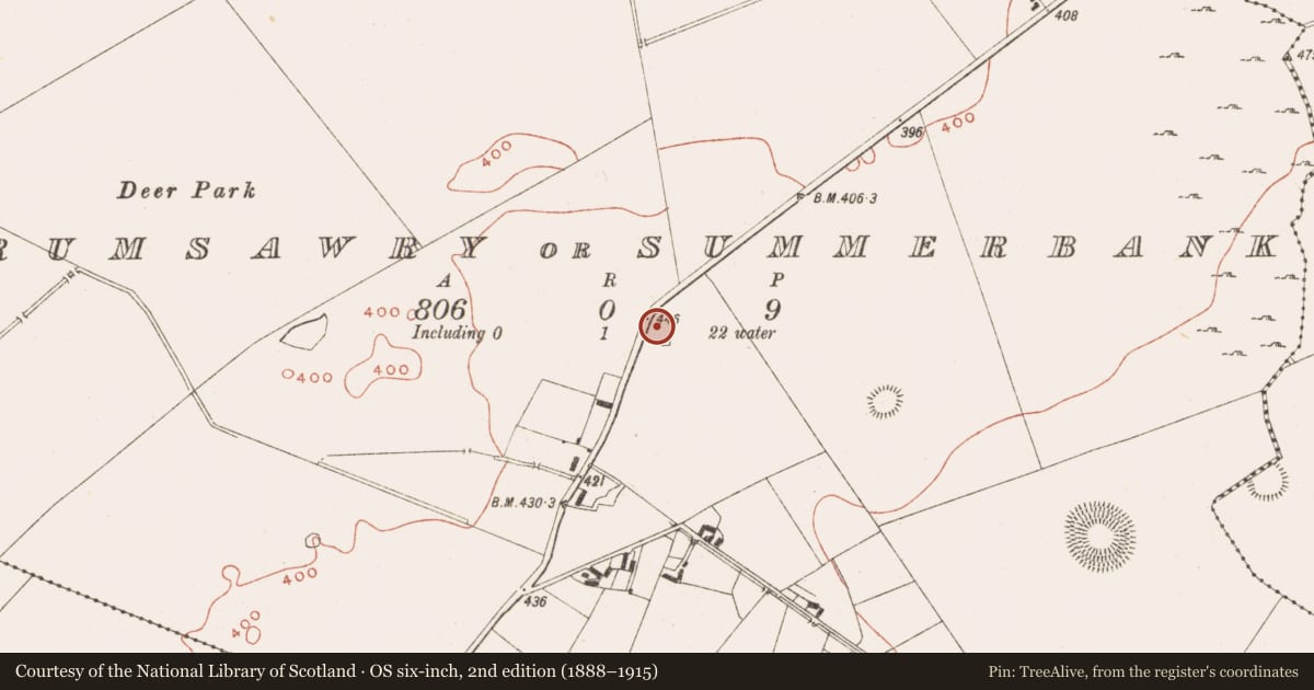 Ordnance Survey six-inch map, 2nd edition (1888–1915) covering the location of Castle - unclassified, Drumsawry Or Summerbank, County Meath, with a pin at the register's coordinates