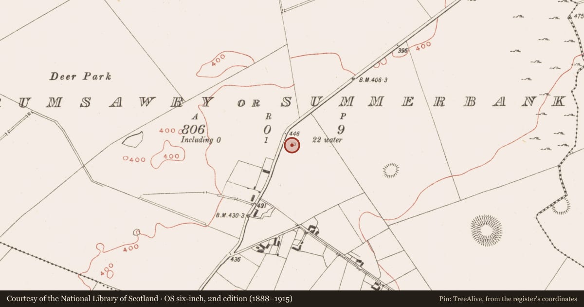 Ordnance Survey six-inch map, 2nd edition (1888–1915) covering the location of Graveyard, Drumsawry Or Summerbank, County Meath, with a pin at the register's coordinates