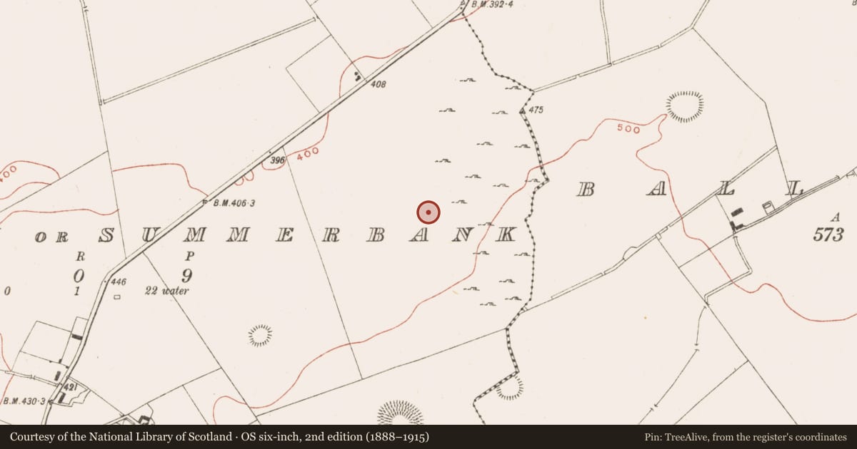 Ordnance Survey six-inch map, 2nd edition (1888–1915) covering the location of Field system, Drumsawry Or Summerbank, County Meath, with a pin at the register's coordinates