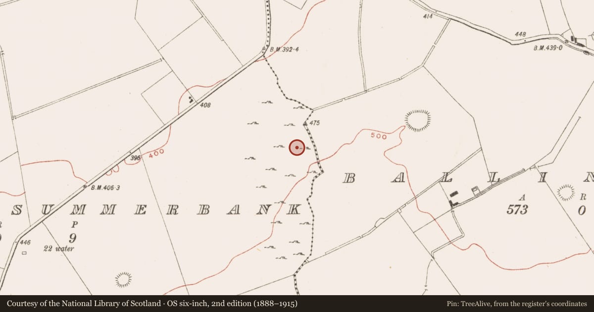Ordnance Survey six-inch map, 2nd edition (1888–1915) covering the location of Ringfort - cashel, Drumsawry Or Summerbank, County Meath, with a pin at the register's coordinates