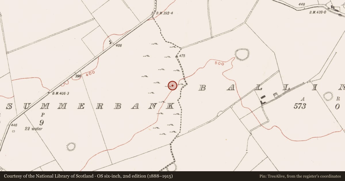 Ordnance Survey six-inch map, 2nd edition (1888–1915) covering the location of Enclosure - large enclosure, Drumsawry Or Summerbank, County Meath, with a pin at the register's coordinates