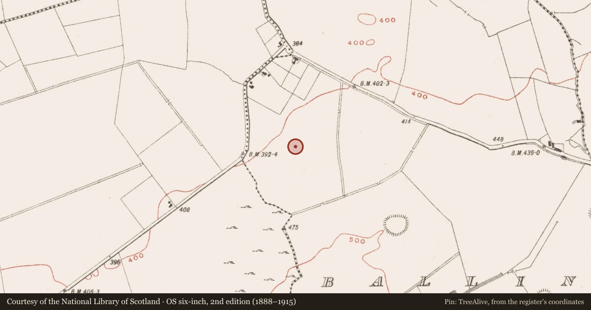 Ordnance Survey six-inch map, 2nd edition (1888–1915) covering the location of Standing stone, Ballinvally, County Meath, with a pin at the register's coordinates