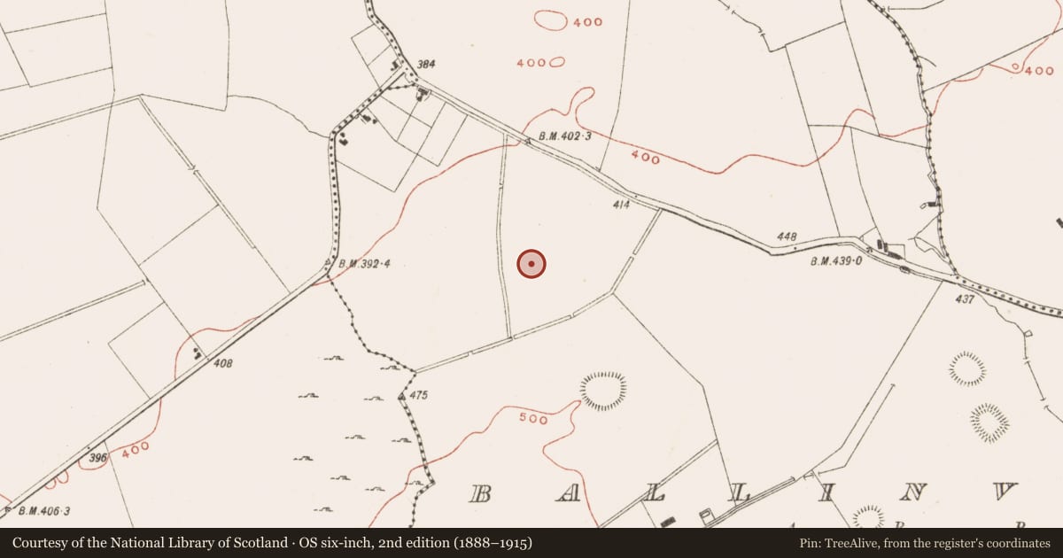 Ordnance Survey six-inch map, 2nd edition (1888–1915) covering the location of Standing stone, Ballinvally, County Meath, with a pin at the register's coordinates