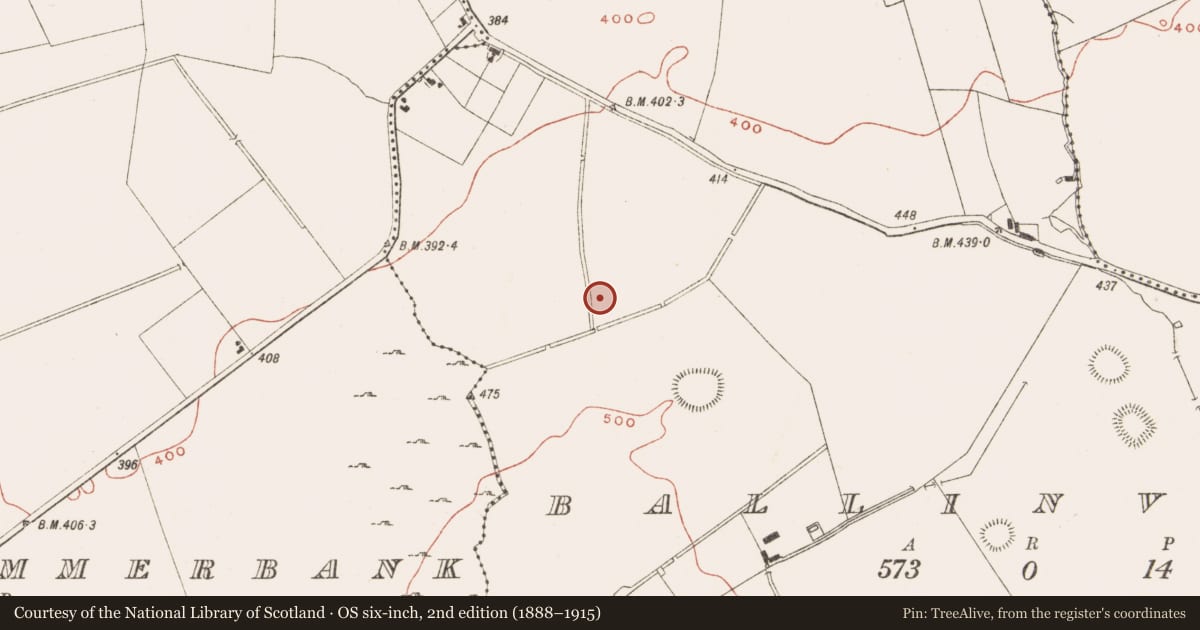 Ordnance Survey six-inch map, 2nd edition (1888–1915) covering the location of Standing stone, Ballinvally, County Meath, with a pin at the register's coordinates