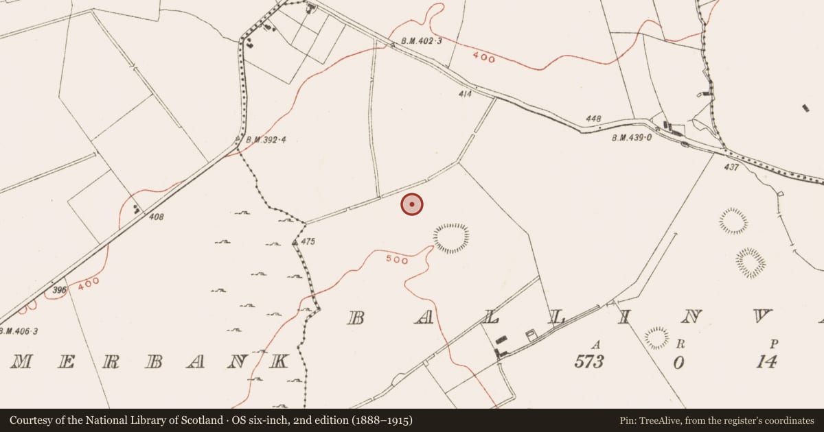 Ordnance Survey six-inch map, 2nd edition (1888–1915) covering the location of Standing stone, Ballinvally, County Meath, with a pin at the register's coordinates