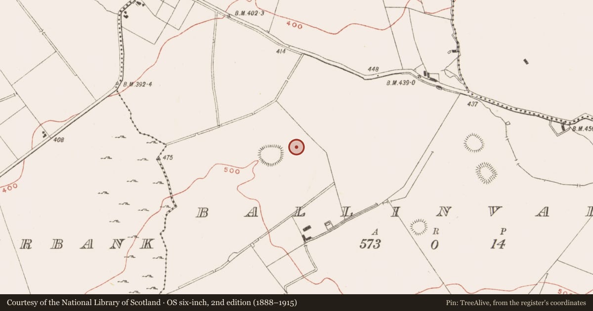 Ordnance Survey six-inch map, 2nd edition (1888–1915) covering the location of Standing stone, Ballinvally, County Meath, with a pin at the register's coordinates