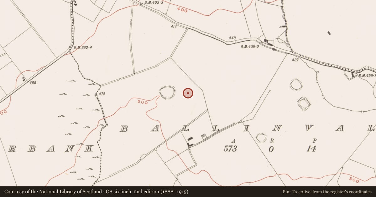 Ordnance Survey six-inch map, 2nd edition (1888–1915) covering the location of Cist, Ballinvally, County Meath, with a pin at the register's coordinates