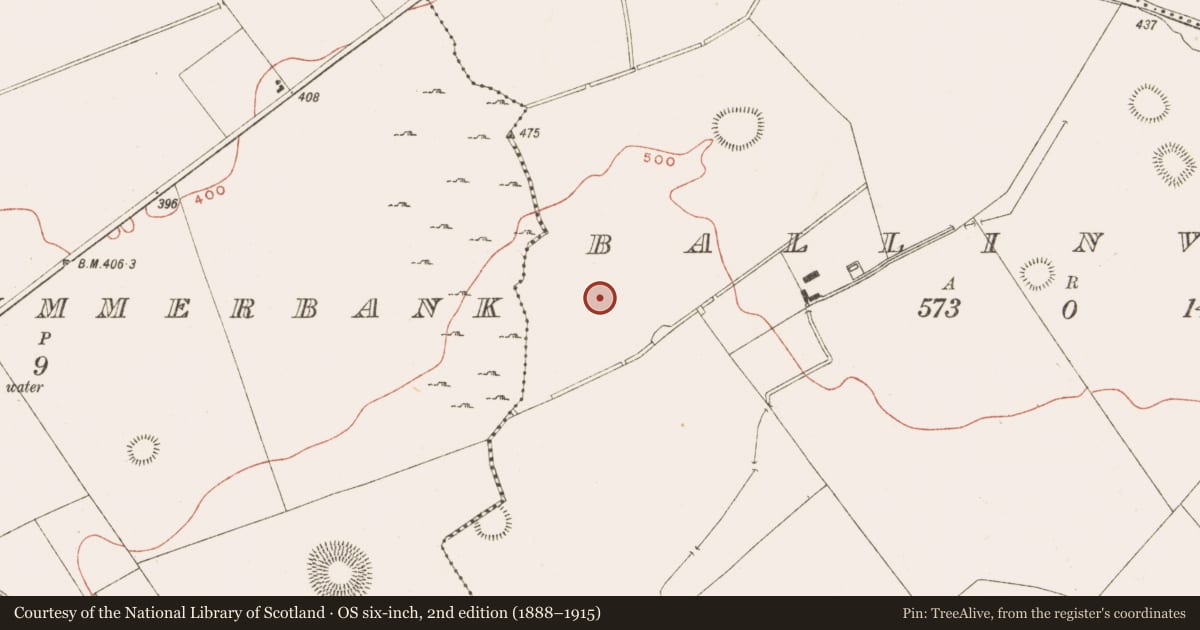 Ordnance Survey six-inch map, 2nd edition (1888–1915) covering the location of Standing stone, Ballinvally, County Meath, with a pin at the register's coordinates