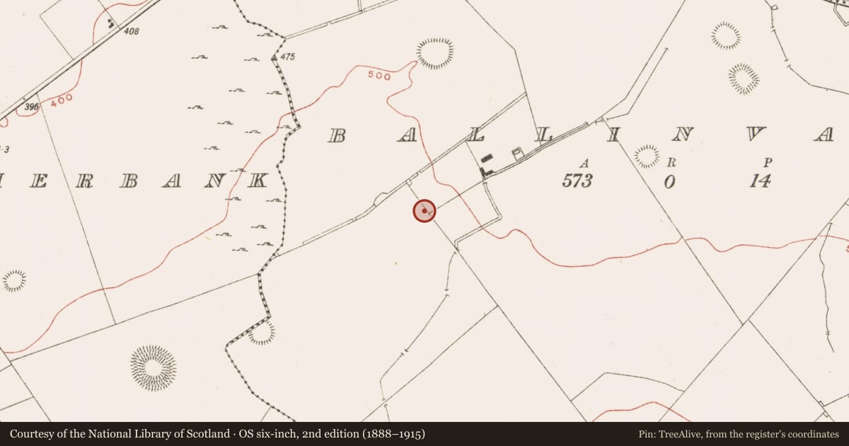 Ordnance Survey six-inch map, 2nd edition (1888–1915) covering the location of Rock art, Ballinvally, County Meath, with a pin at the register's coordinates