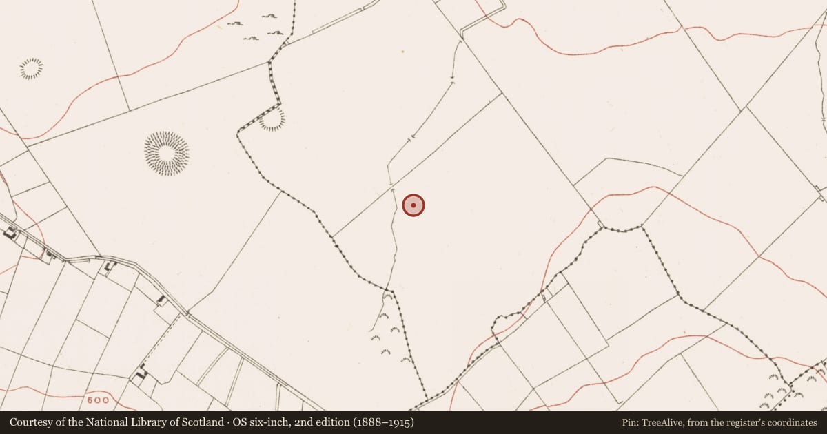 Ordnance Survey six-inch map, 2nd edition (1888–1915) covering the location of Cist, Ballinvally, County Meath, with a pin at the register's coordinates