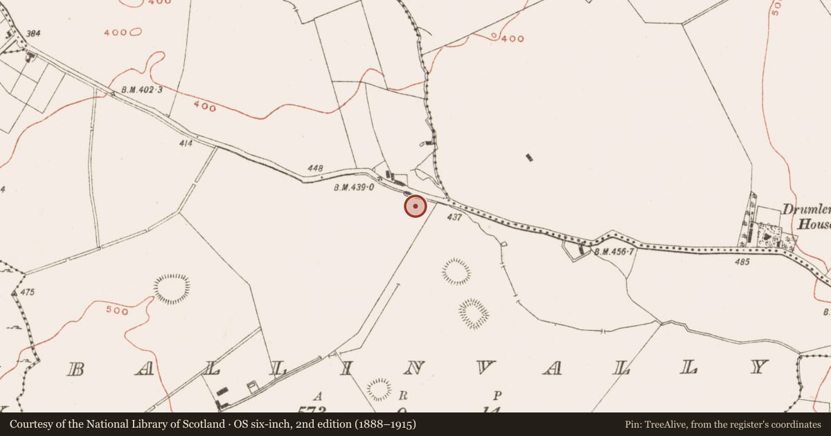 Ordnance Survey six-inch map, 2nd edition (1888–1915) covering the location of Burial ground, Ballinvally, County Meath, with a pin at the register's coordinates