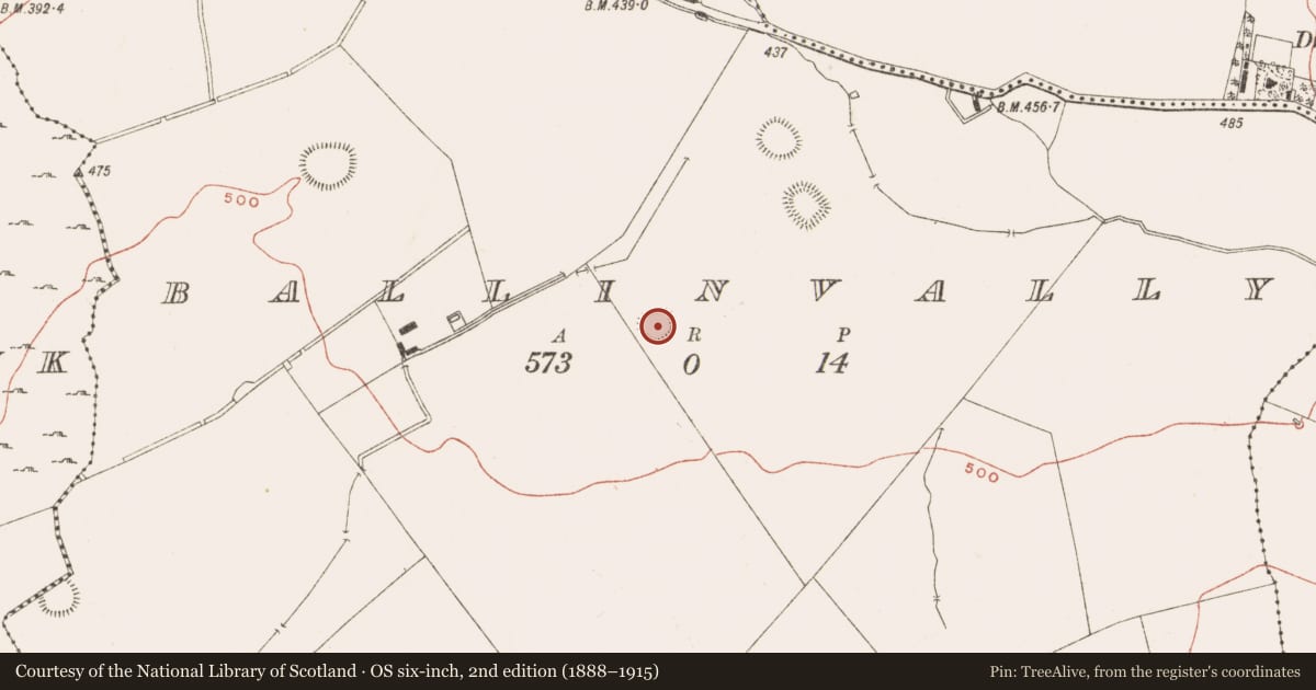Ordnance Survey six-inch map, 2nd edition (1888–1915) covering the location of Ringfort - rath, Ballinvally, County Meath, with a pin at the register's coordinates