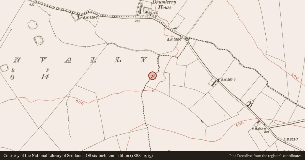 Ordnance Survey six-inch map, 2nd edition (1888–1915) covering the location of Rock art, Ballinvally, County Meath, with a pin at the register's coordinates