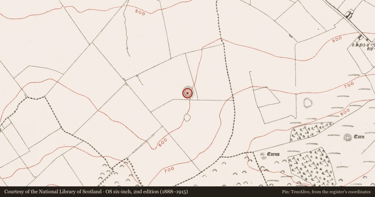 Ordnance Survey six-inch map, 2nd edition (1888–1915) covering the location of Ringfort - rath, Ballinvally, County Meath, with a pin at the register's coordinates