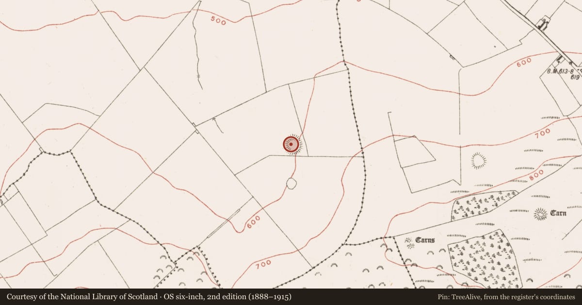 Ordnance Survey six-inch map, 2nd edition (1888–1915) covering the location of Hut site, Ballinvally, County Meath, with a pin at the register's coordinates