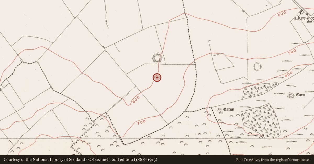 Ordnance Survey six-inch map, 2nd edition (1888–1915) covering the location of House - indeterminate date, Ballinvally, County Meath, with a pin at the register's coordinates