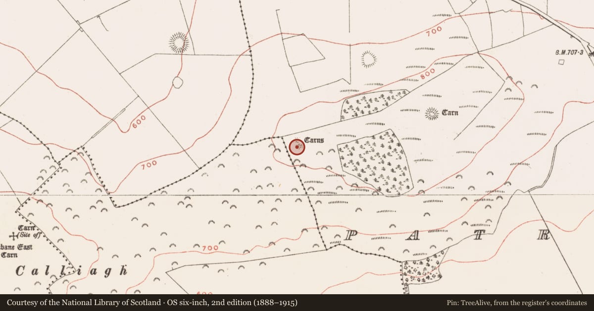 Ordnance Survey six-inch map, 2nd edition (1888–1915) covering the location of Megalithic tomb - passage tomb, Patrickstown, County Meath, with a pin at the register's coordinates