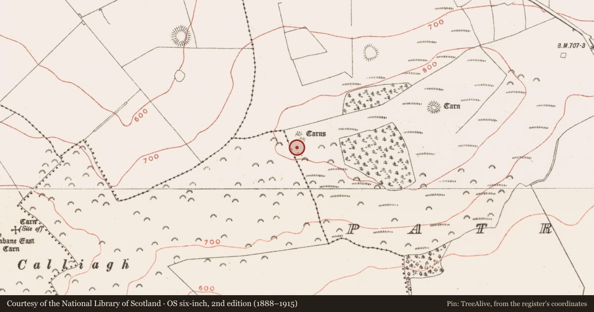 Ordnance Survey six-inch map, 2nd edition (1888–1915) covering the location of Megalithic tomb - passage tomb, Patrickstown, County Meath, with a pin at the register's coordinates