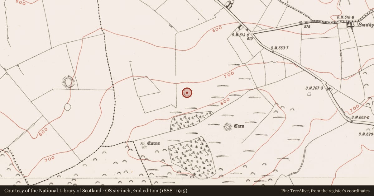 Ordnance Survey six-inch map, 2nd edition (1888–1915) covering the location of Ringfort - rath, Patrickstown, County Meath, with a pin at the register's coordinates
