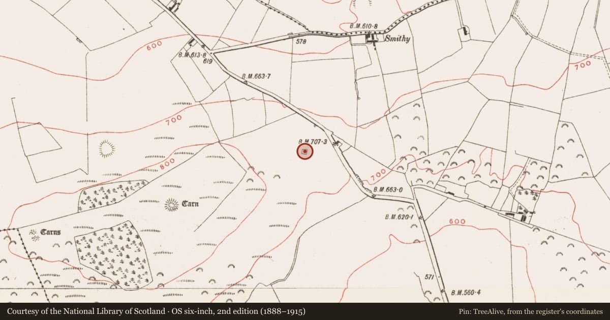 Ordnance Survey six-inch map, 2nd edition (1888–1915) covering the location of Enclosure, Patrickstown, County Meath, with a pin at the register's coordinates