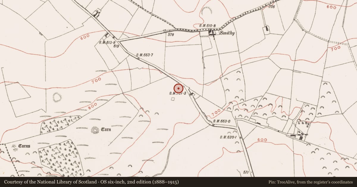 Ordnance Survey six-inch map, 2nd edition (1888–1915) covering the location of Cross - Wayside cross, Patrickstown, County Meath, with a pin at the register's coordinates