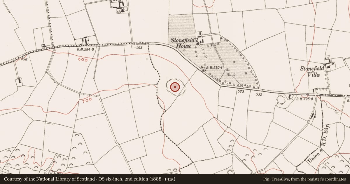 Ordnance Survey six-inch map, 2nd edition (1888–1915) covering the location of Enclosure - large enclosure, Stonefield, County Meath, with a pin at the register's coordinates