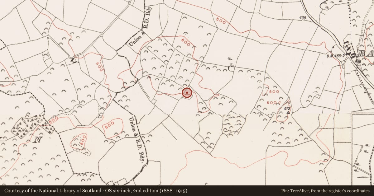Ordnance Survey six-inch map, 2nd edition (1888–1915) covering the location of Ringfort - rath, Ballinlough Big, County Meath, with a pin at the register's coordinates