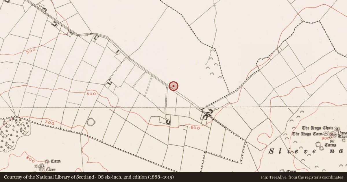 Ordnance Survey six-inch map, 2nd edition (1888–1915) covering the location of Fulacht fia, Drumsawry Or Summerbank, County Meath, with a pin at the register's coordinates