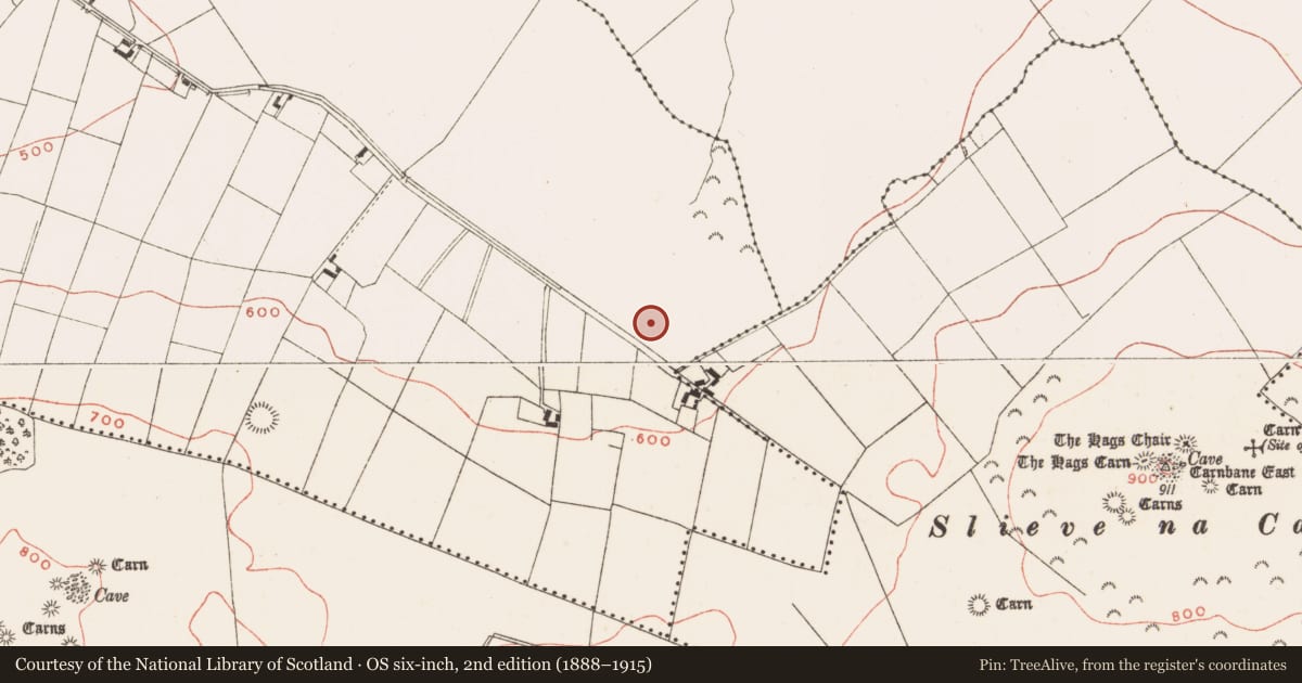 Ordnance Survey six-inch map, 2nd edition (1888–1915) covering the location of Fulacht fia, Drumsawry Or Summerbank, County Meath, with a pin at the register's coordinates