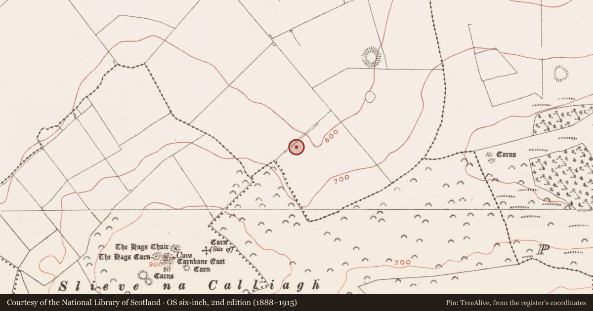 Ordnance Survey six-inch map, 2nd edition (1888–1915) covering the location of Rock art, Ballinvally, County Meath, with a pin at the register's coordinates
