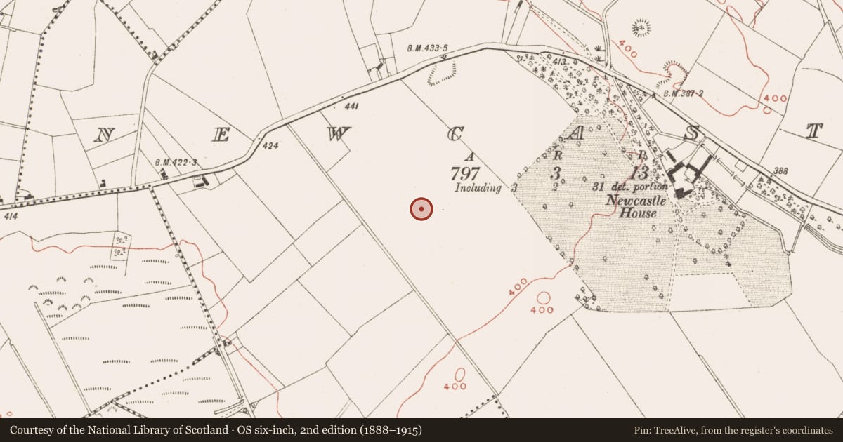Ordnance Survey six-inch map, 2nd edition (1888–1915) covering the location of Cairn - unclassified, Newcastle, County Meath, with a pin at the register's coordinates