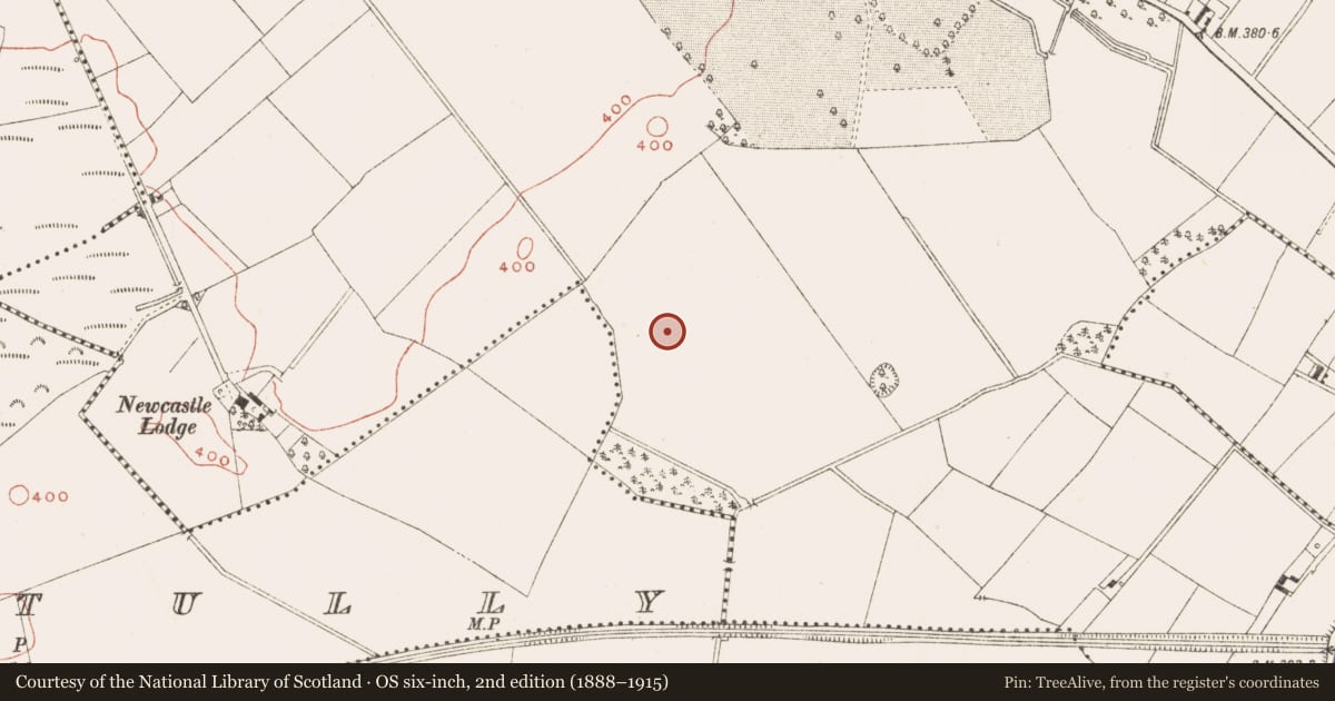 Ordnance Survey six-inch map, 2nd edition (1888–1915) covering the location of Cairn - unclassified, Newcastle, County Meath, with a pin at the register's coordinates