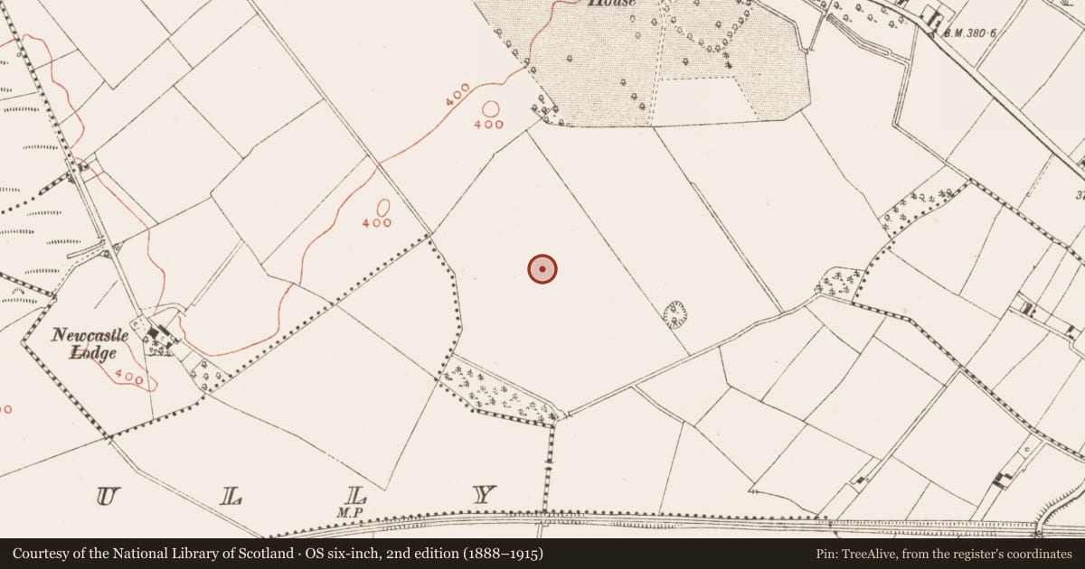 Ordnance Survey six-inch map, 2nd edition (1888–1915) covering the location of Cairn - unclassified, Newcastle, County Meath, with a pin at the register's coordinates