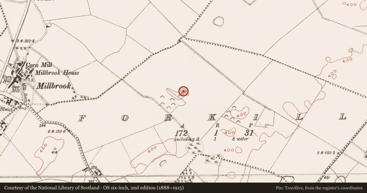 Ordnance Survey six-inch map, 2nd edition (1888–1915) covering the location of Ringfort - rath, Forkill, County Meath, with a pin at the register's coordinates