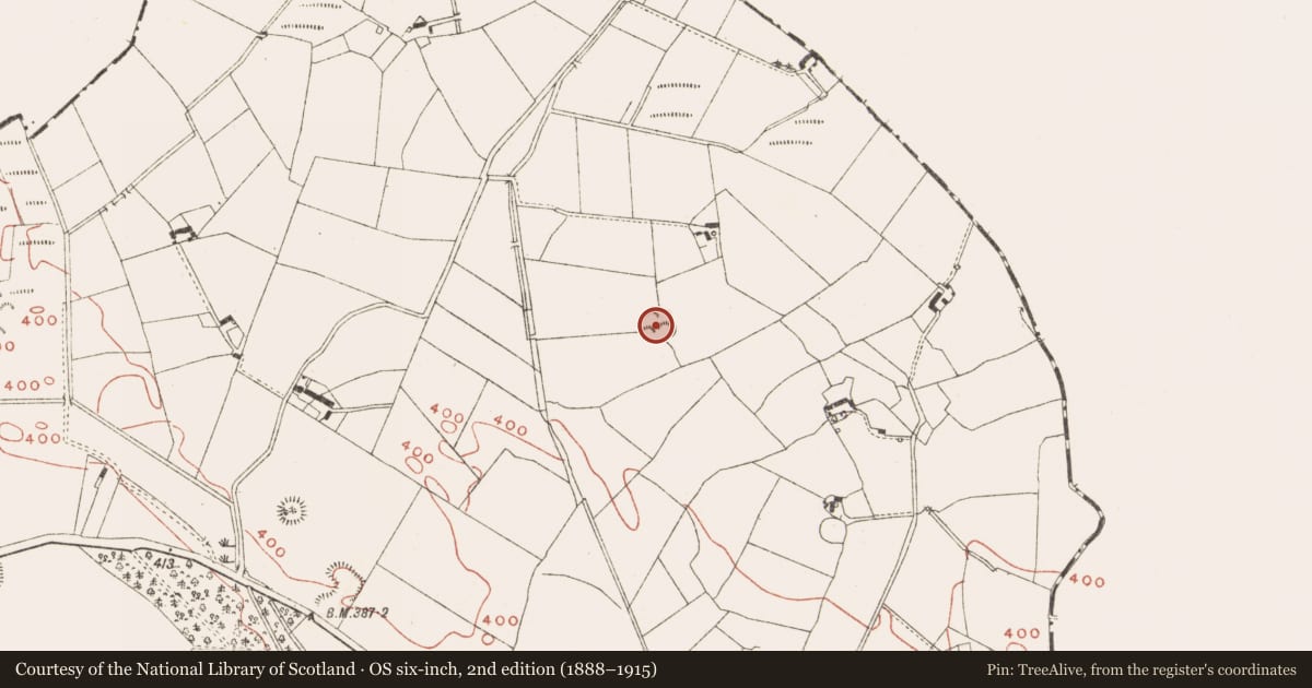 Ordnance Survey six-inch map, 2nd edition (1888–1915) covering the location of Ringfort - cashel, Newcastle, County Meath, with a pin at the register's coordinates