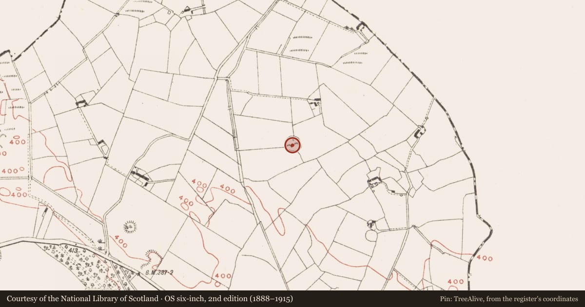Ordnance Survey six-inch map, 2nd edition (1888–1915) covering the location of Hut site, Newcastle, County Meath, with a pin at the register's coordinates