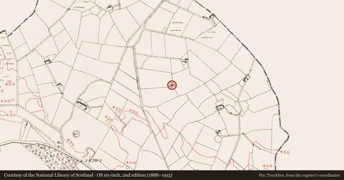 Ordnance Survey six-inch map, 2nd edition (1888–1915) covering the location of Sweathouse, Newcastle, County Meath, with a pin at the register's coordinates