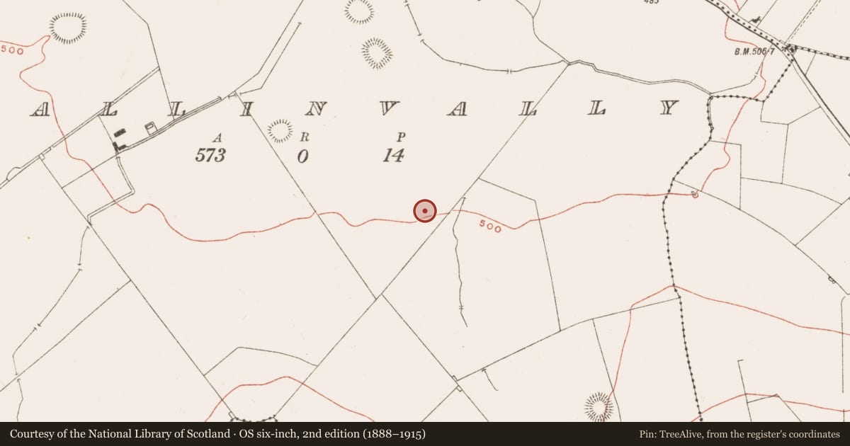 Ordnance Survey six-inch map, 2nd edition (1888–1915) covering the location of Rock art, Ballinvally, County Meath, with a pin at the register's coordinates