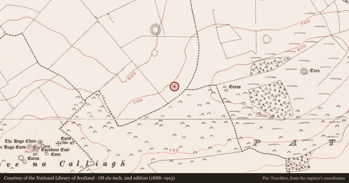 Ordnance Survey six-inch map, 2nd edition (1888–1915) covering the location of Rock art, Ballinvally, County Meath, with a pin at the register's coordinates