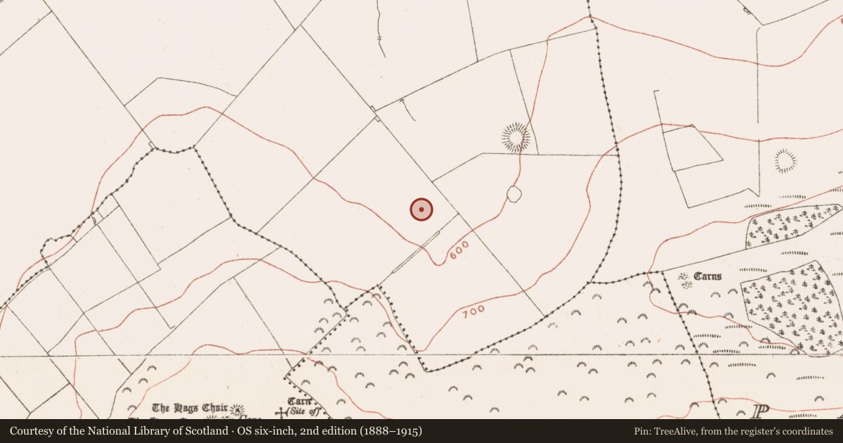 Ordnance Survey six-inch map, 2nd edition (1888–1915) covering the location of Rock art, Ballinvally, County Meath, with a pin at the register's coordinates