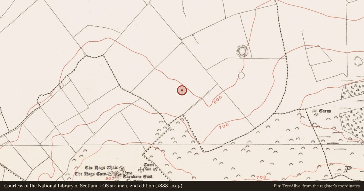 Ordnance Survey six-inch map, 2nd edition (1888–1915) covering the location of Rock art, Ballinvally, County Meath, with a pin at the register's coordinates