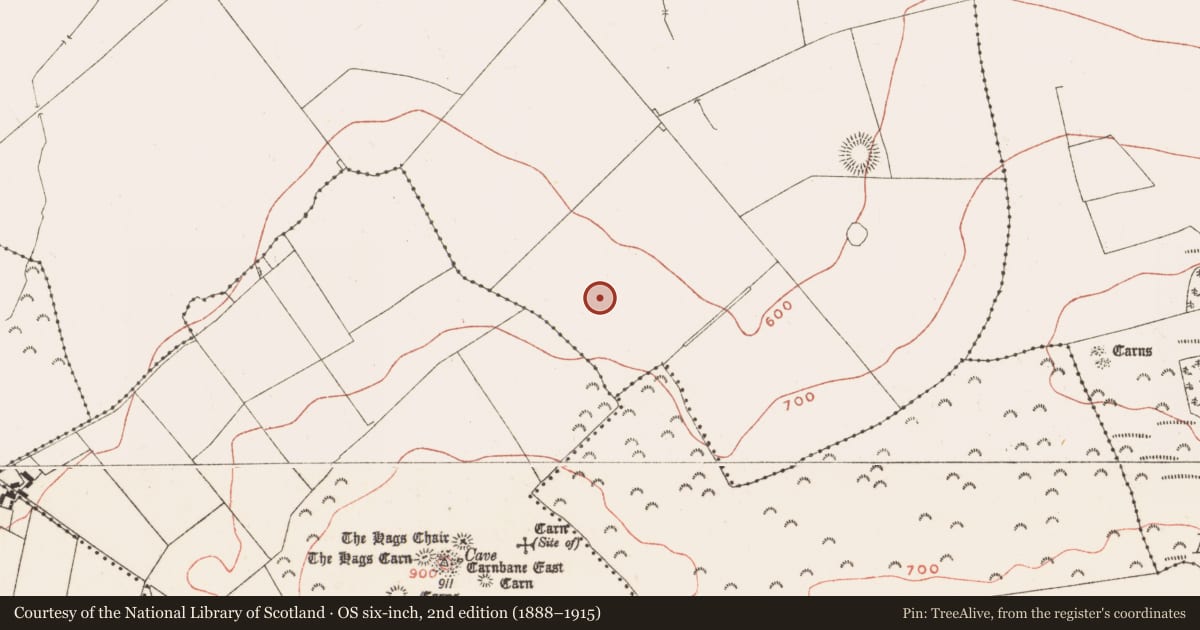 Ordnance Survey six-inch map, 2nd edition (1888–1915) covering the location of Rock art, Ballinvally, County Meath, with a pin at the register's coordinates