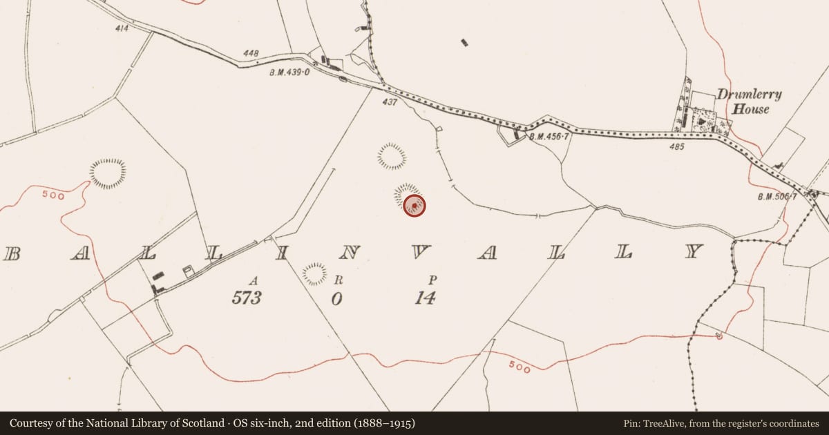 Ordnance Survey six-inch map, 2nd edition (1888–1915) covering the location of Rock art, Ballinvally, County Meath, with a pin at the register's coordinates
