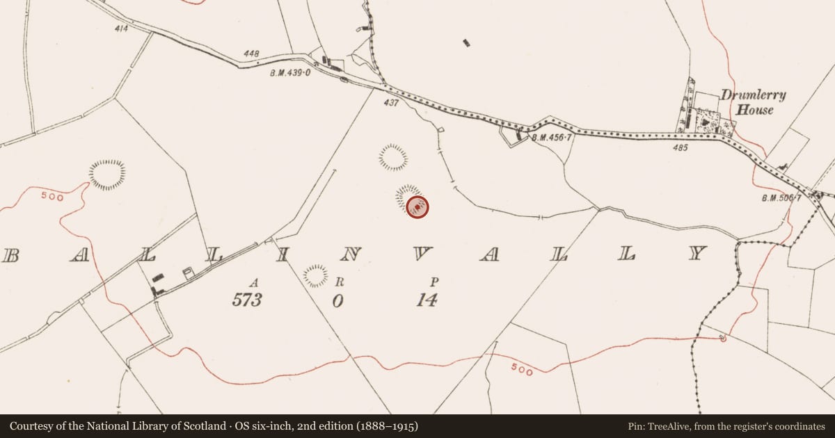 Ordnance Survey six-inch map, 2nd edition (1888–1915) covering the location of Rock art, Ballinvally, County Meath, with a pin at the register's coordinates