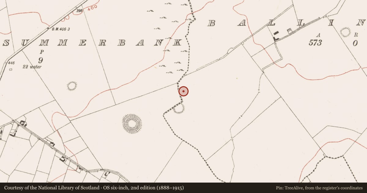 Ordnance Survey six-inch map, 2nd edition (1888–1915) covering the location of Enclosure, Ballinvally, County Meath, with a pin at the register's coordinates
